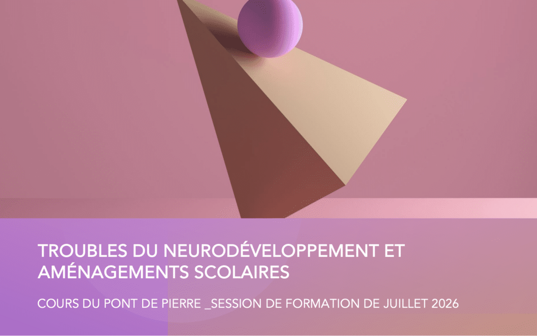 Formation de l&rsquo;équipe du CPP